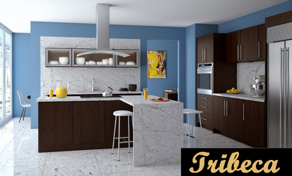Kitchen Cabinets New City Ny Kitchen Cabs Direct